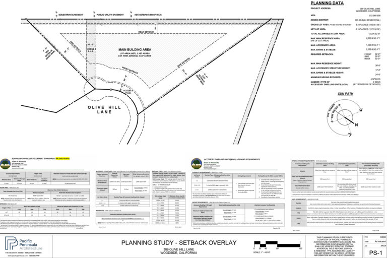 309-Olive-Hill---Planning-Study-3.3