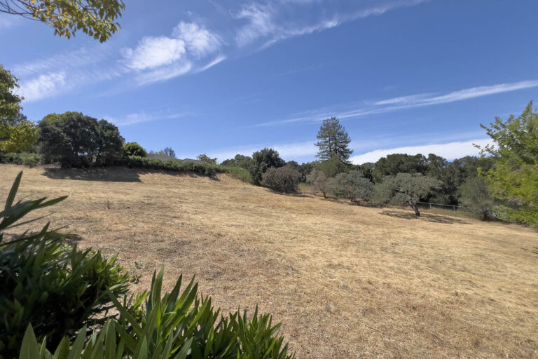 View from gate towards the house