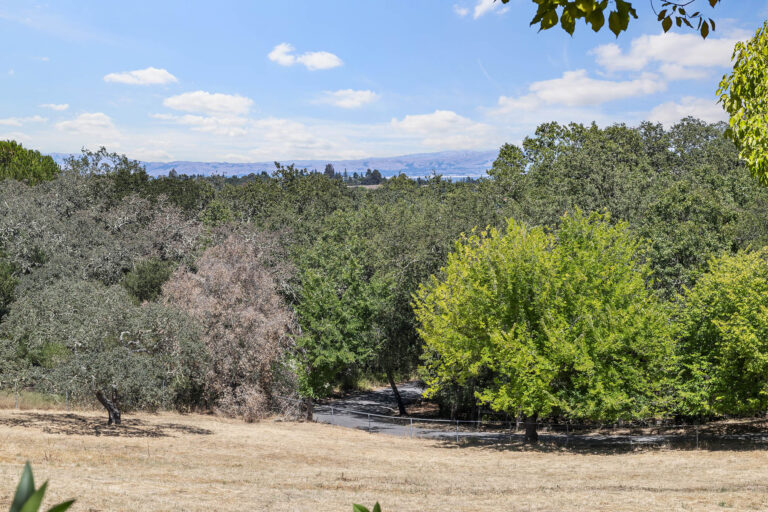 View from top of driveway - Left