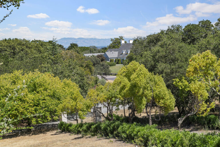 View from top of driveway - Right