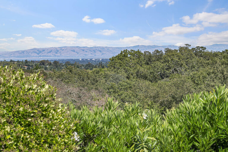 View3